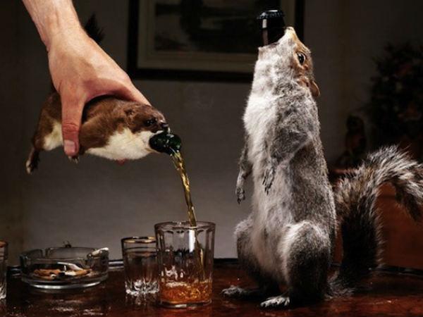 Brewdog's End Of History: $765