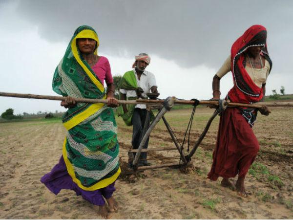 મહિલાઓ નગ્ન થઇને ચલાવે હળ તો થશે વરસાદ