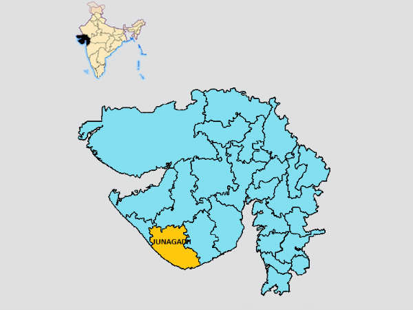 જૂનાગઢ મનપાનું ચૂંટણી પરિણામ