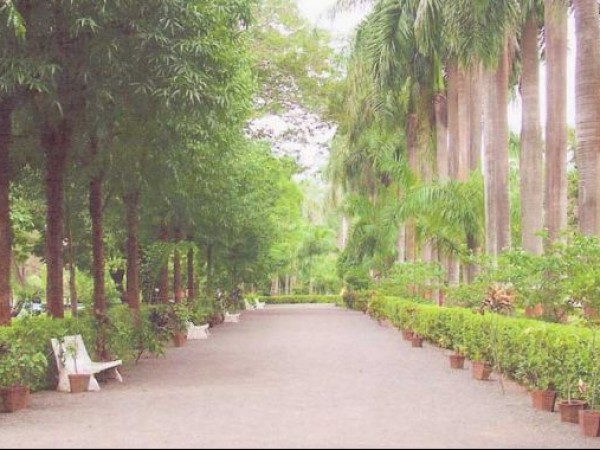 વાંસદા રાષ્ટ્રીય ઉદ્યાન