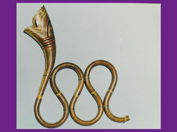નાગફણી