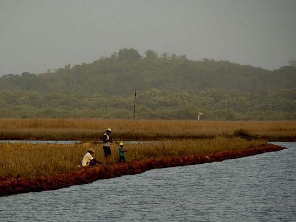 ગોવાનું એક સુંદર દ્રશ્ય