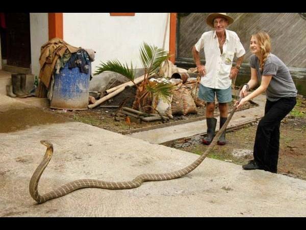 Top funny photographs from Facebook