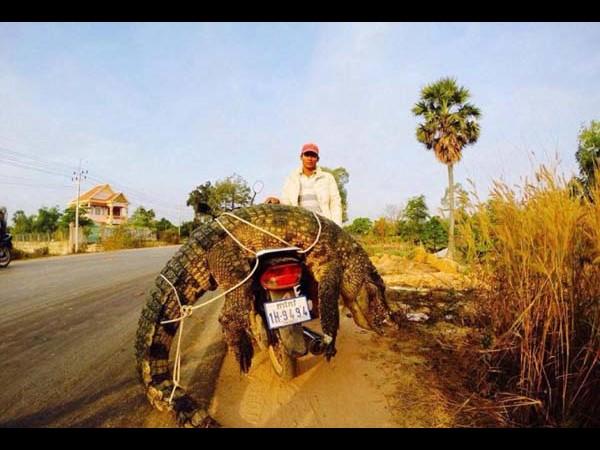 Top funny photographs from Facebook