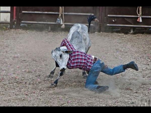 Top funny photographs from Facebook