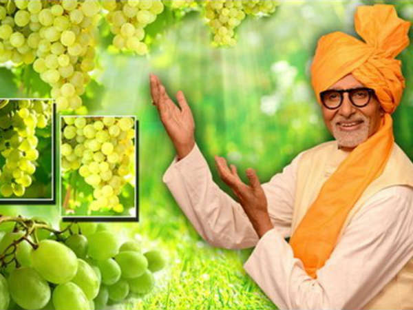 જુઓ હવે અમિતાભ બચ્ચન વેચી રહ્યાં છે ફળ!