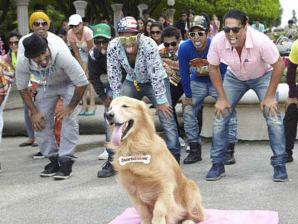 તે માત્ર કૂતરૂ નથી