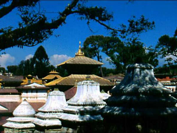 મંદિરનો મોટાભાગનો ભાગ લાકડાનો બનેલો છે