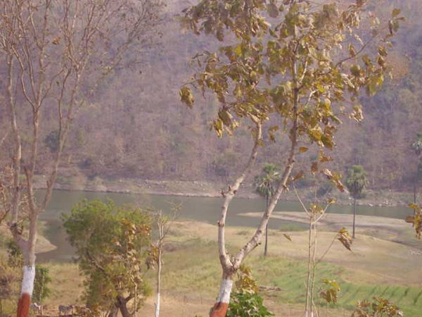 સ્થળ પરથી બંધિયાર પાણીનું દ્રશ્ય