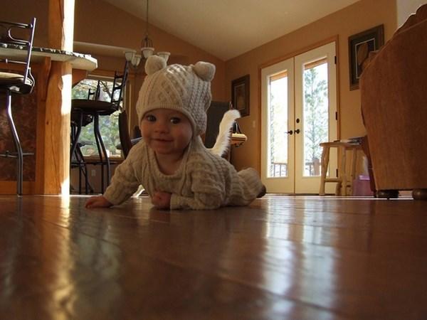 Best Photobombs Ever Caught On Camera