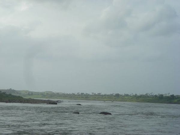 તિલકવાડા