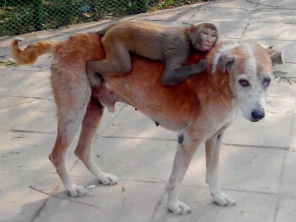 હમ સાથ સાથ હૈ