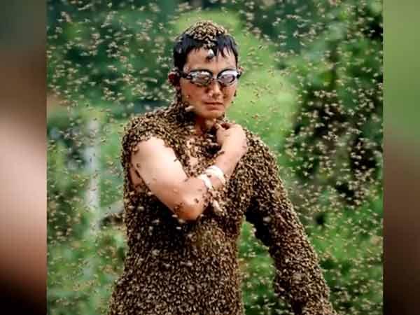 મધમાખીઓ સાથે પ્રેમ