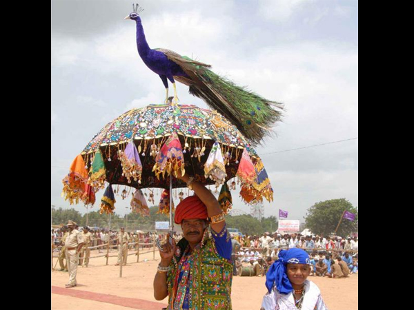 ત્રીનેત્રેશ્વરનો મેળો