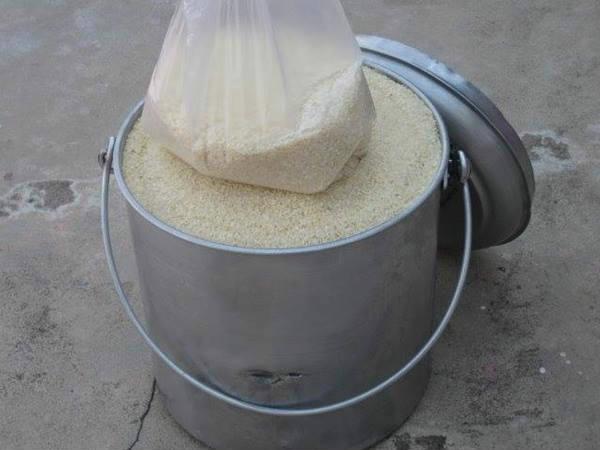 આઇસ બકેટ ચેલેંજનું ભારતીય રૂપ