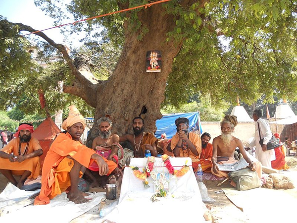 ગિરનારની પરિક્રમાનું મહત્વ