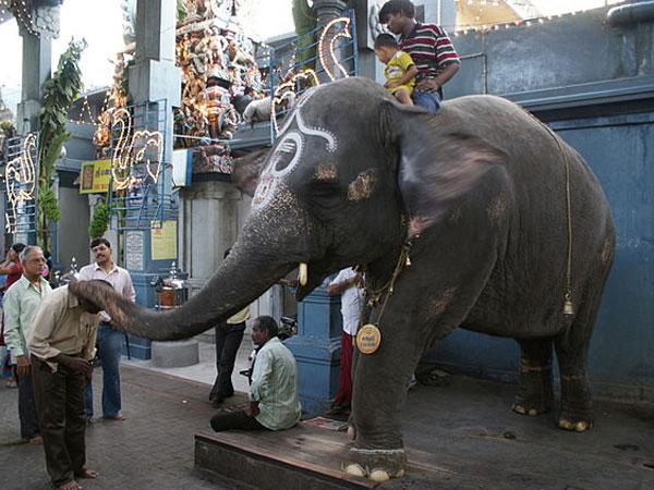 મનાકુલા વિનયાગર મંદિર