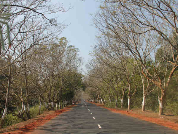 પૂરીથી કોનાર્ક રૂટ