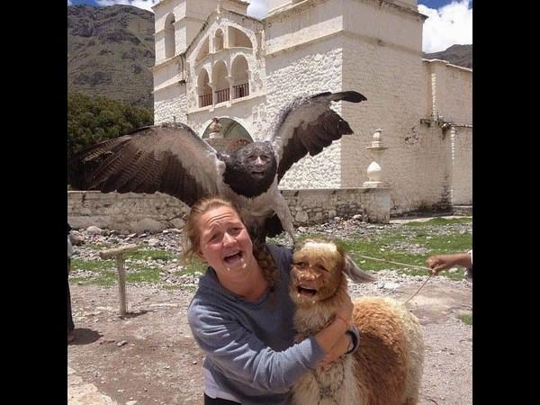 Unsettling Face Swaps