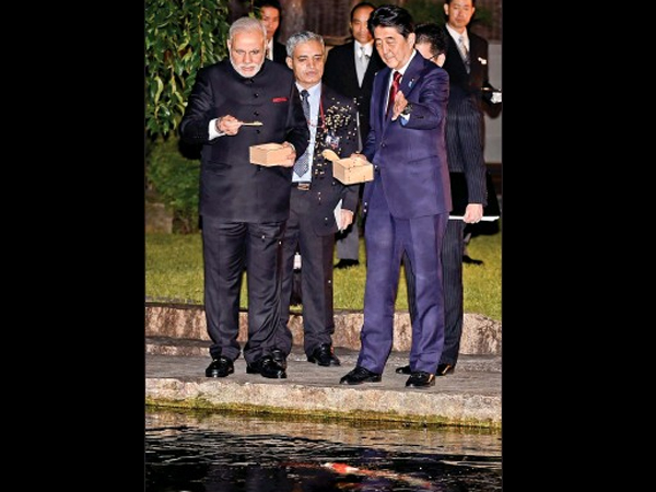 માછલીઓને પરંપરાગત ફીડીંગ