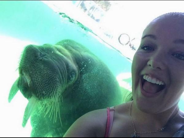 Crazy and viral photography