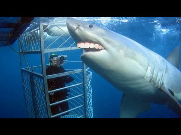 Crazy and viral photography