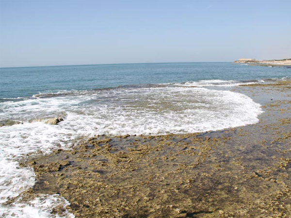 તરવા માટે અસુરક્ષિત છે