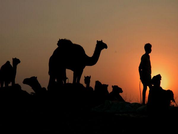 પુષ્કરમાં સનસેટ