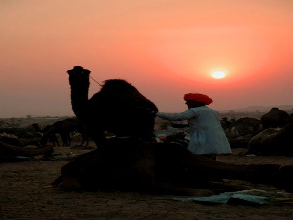 પુષ્કરમાં સનસેટ