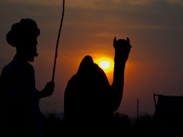 પુષ્કરમાં સનસેટ