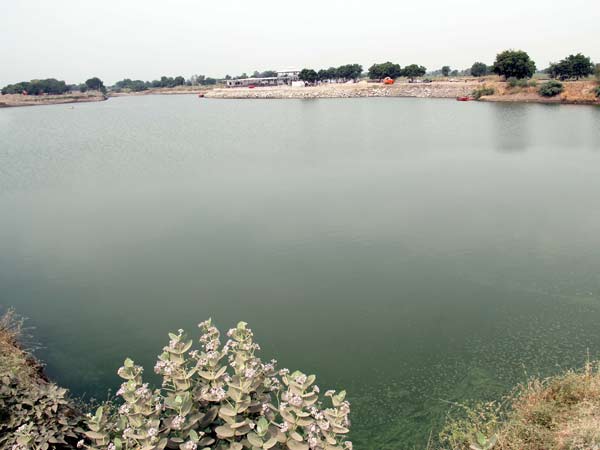 તળાવ અને ચેકડેમમાં પણ પાણી ભરેલું રહે છે