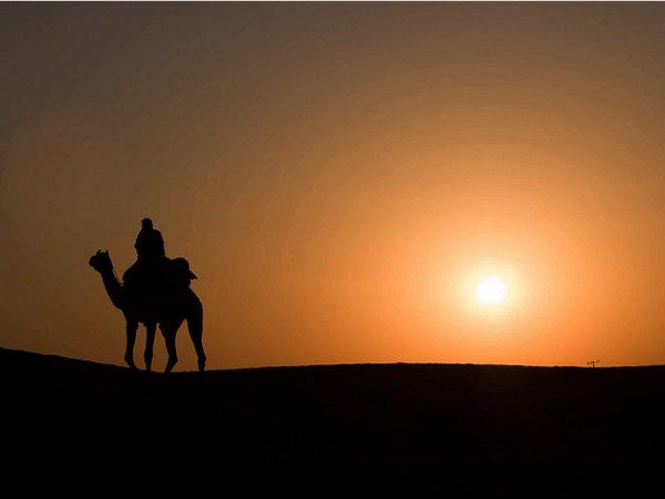 થારનું રણ