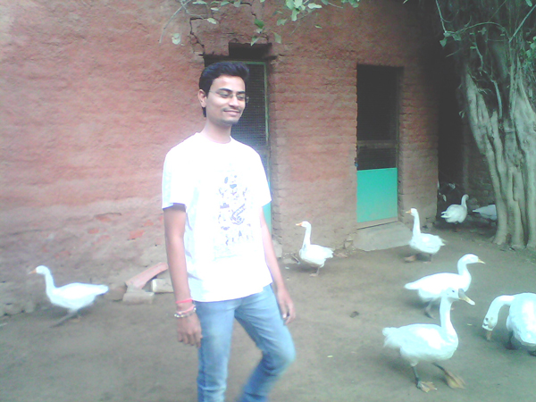 પીકનીક પ્લેસ