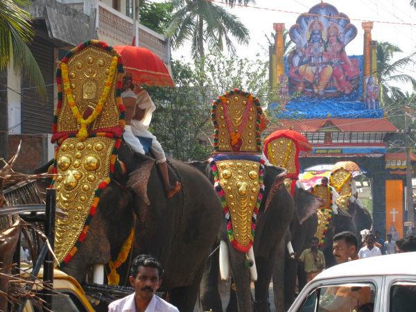 પલક્કાવુ ભગવતી મંદિર