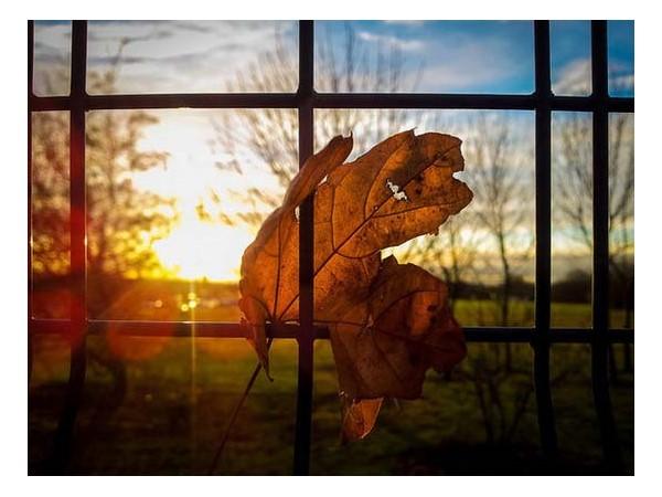 Hanging On Until The Sun Goes Down