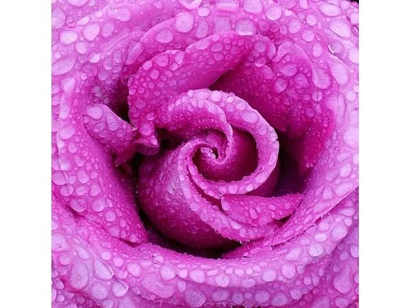 After Rain