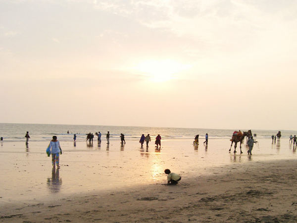કચ્છીઓ અરબસ્તાન અને આફ્રિકામાં વસેલાં છે
