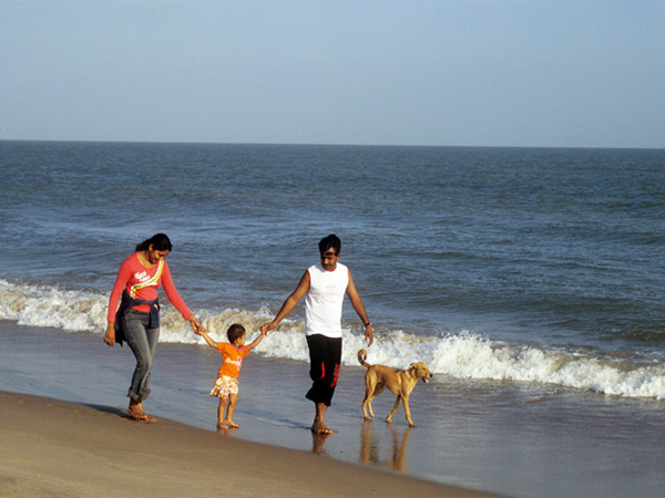માંડવી બીચની એક તસવીરી ઝલક...