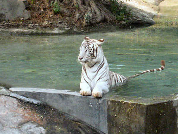 પશ્ચિમ બંગાળ