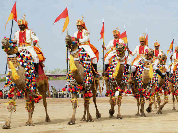 બીએસએફનું કેમલ યુનિટ