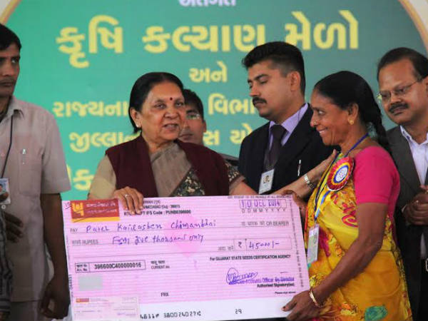 બહેનોની રોજગારીની ચિંતા પણ રાજ્ય સરકાર કરે છે