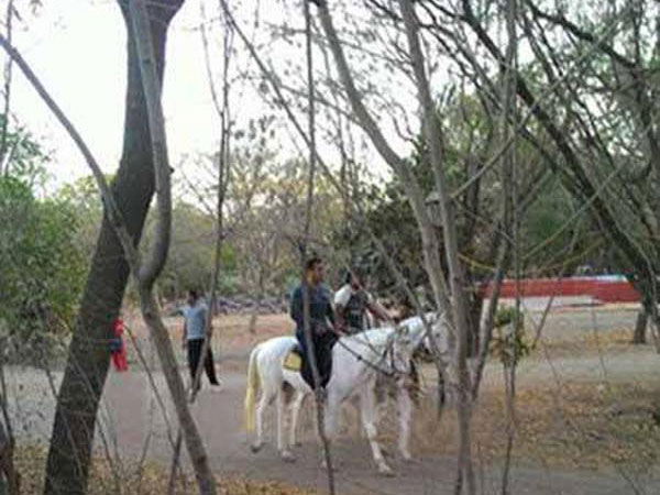 સલમાનની ધોડે સવારી