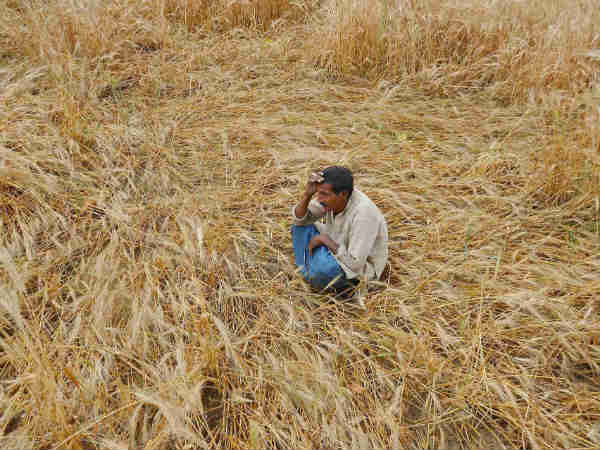 મિર્ઝાપુર