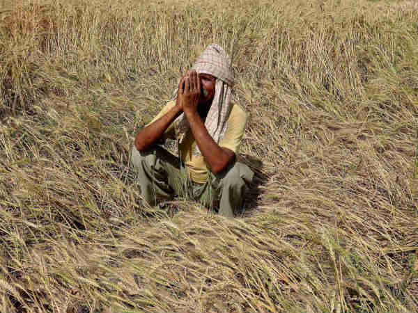 ઉત્તરપ્રદેશમાં 17 ખેડૂતો કરી આત્મહત્યા.