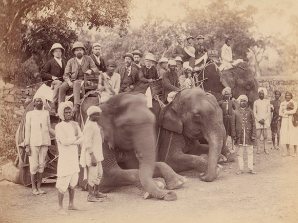 હાથીની સફારી