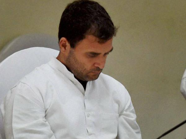 રાહુલ ગાંધીએ દેખા દીધા