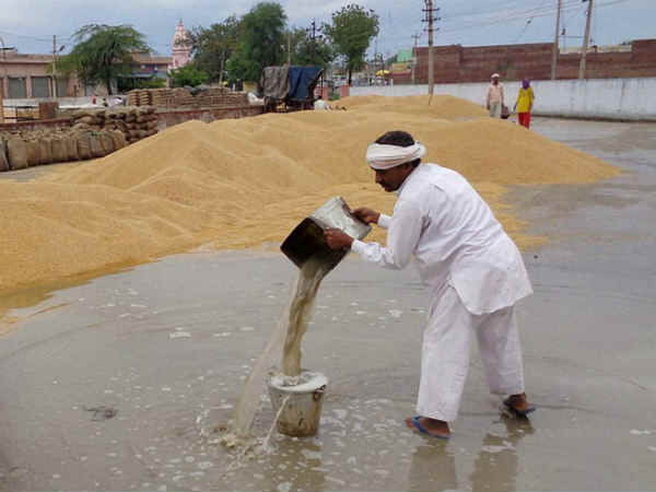 હિસાર
