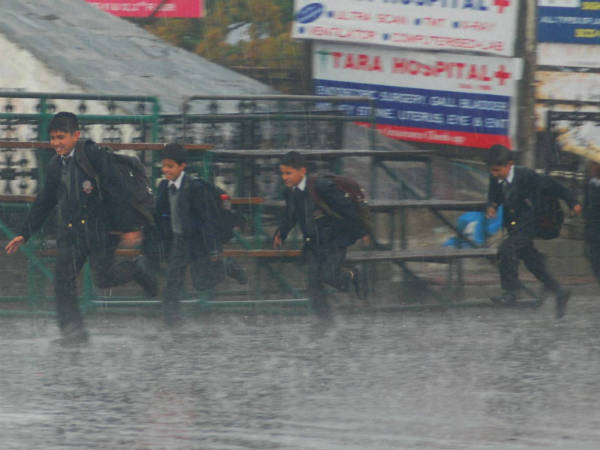 શિમલામાં વરસાદ