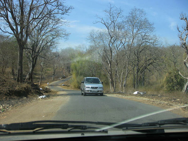 વરસાદ અને ધુમ્મસ