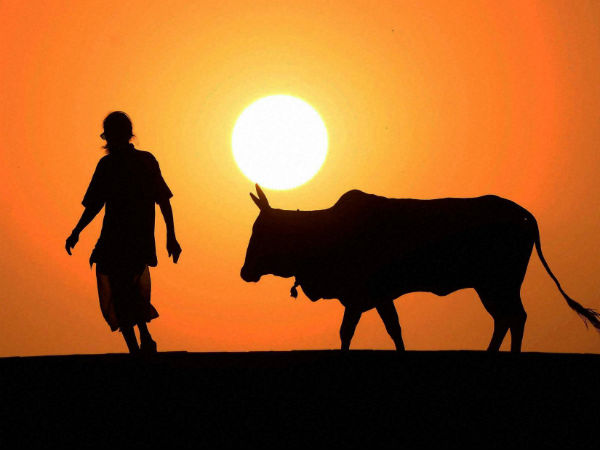 સંગમ તટ પર ભક્તિનો સંગમ